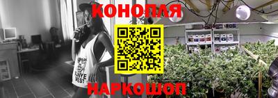 спиды Моздок