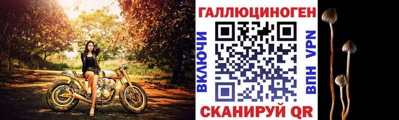 Галлюциногенные грибы Psilocybe  сколько стоит  Моршанск 