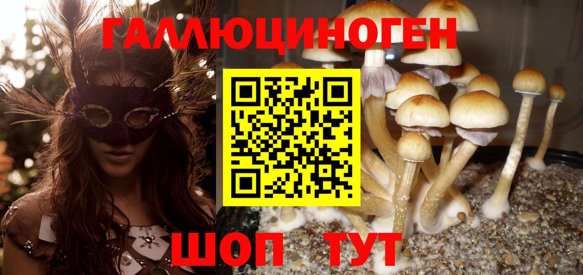 Галлюциногенные грибы прущие грибы  Вход с VPN  Моршанск 